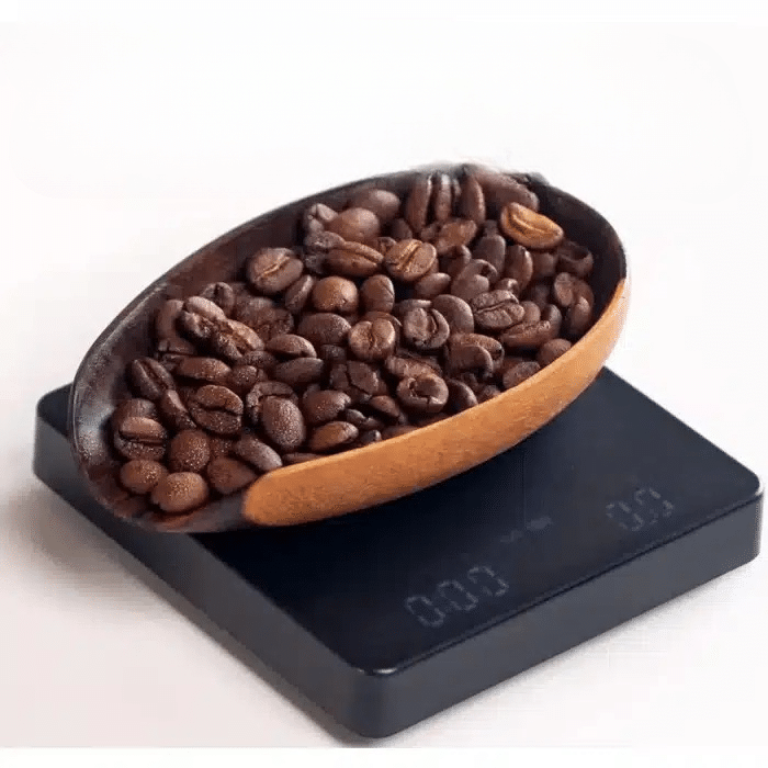 Réveil de Grains de Café en Acier Inoxydable avec Nano Pulvérisateur - vue 4